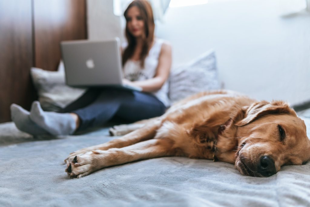 Le télétravail est-il appelé à devenir la norme ?